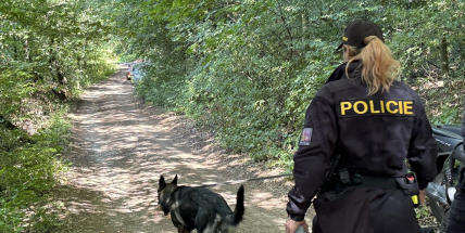V hořovickém lese našla žena pobodaného muže, policie pátrá po pachateli