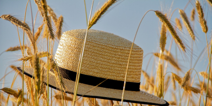 Jaké bude počasí v červenci? Meteorologové zveřejnili dlouhodobou předpověď