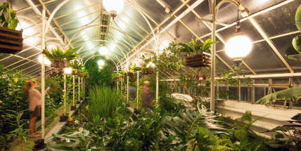 Na Konopišti si prohlédnete osvícené skleníky Růžové zahrady