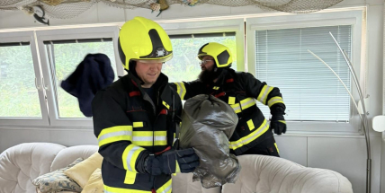 V hausbótu Heleny Vondráčkové u Hříměždic se usídlil had, na pomoc zavolala hasiče