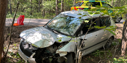 U Občova narazil řidič škodovky do stromu