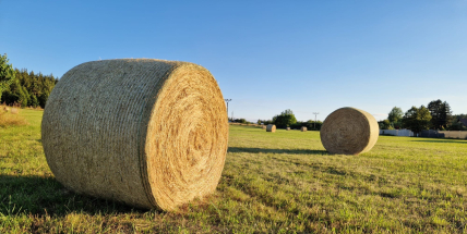 Jaké počasí bude do konce července a v první polovině srpna? Meteorologové zveřejnili dlouhodobou předpověď