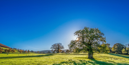 Jaké bude počasí v srpnu? Meteorologové zveřejnili dlouhodobou předpověď
