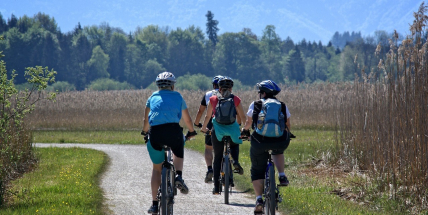 Češi na kolech: Vysoká tolerance alkoholu a polovina bez helmy