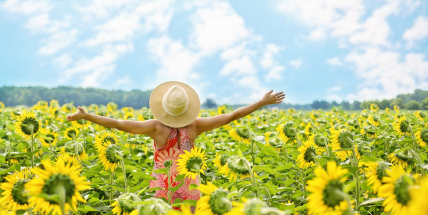 Jaké počasí bude do konce srpna? Meteorologové zveřejnili dlouhodobou předpověď