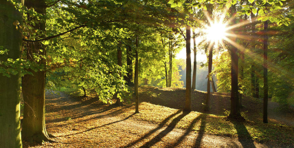Jaké počasí bude v září? Meteorologové zveřejnili dlouhodobou předpověď