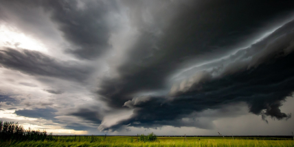 Horký srpen přinesl sucho a obavy. Trápí houbaře, zemědělce i lesníky