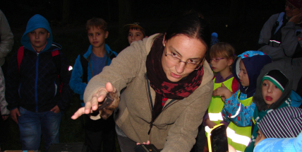 Netopýr dokáže za jednu noc ulovit téměř 3000 komárů a je dokonalým navigátorem noční krajinou