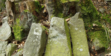 Tip na výlet: V lese, o který se přeli tři páni