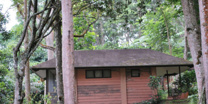 Policie varuje před vykrádáním chat