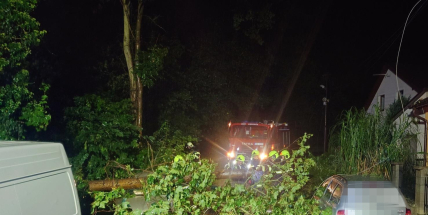 Bez elektřiny je v Česku kvůli počasí přes 63.000 domácností