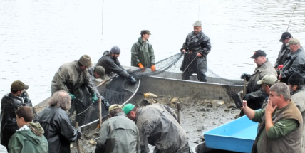 Na Myslivecko-rybářské slavnosti můžete i ochutnat zvěřinový guláš nebo kapří hranolky