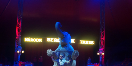 Cirkus Berousek je tu jen do zítra, dnešní představení začíná ve 14 hodin