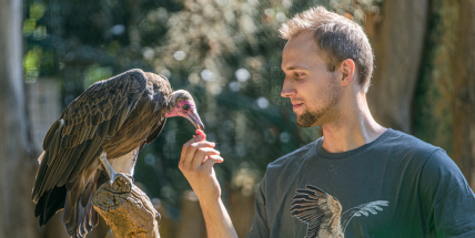 Mezinárodní den zvířat nabídne v Zoo Praha komentované krmení