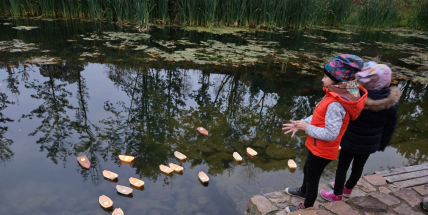Večer sokolských světel připomene Památný den sokolstva