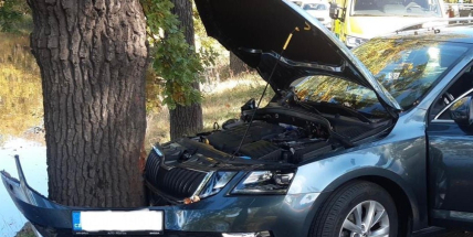 Devatenáctiletá řidička bourala na hrázi rybníka Papež do stromu
