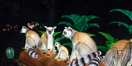 V Zoo Praha budou brzy k vidění světelné lampiony zvířat