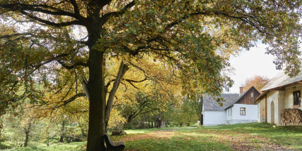 Den Středočeského kraje otevře muzea a památníky za snížené vstupné