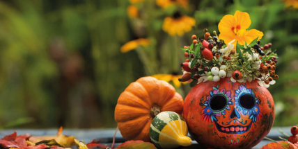 Atmosféru mexických „Dušiček“ přinesou do botanické zahrady strašidelné lebky i kostlivci