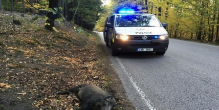 Střetů se zvěří na silnicích neustále přibývá, příbramští policisté vyjížděli letos již k 200 nehodám