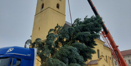 Dolní Hbity neměly dostatečnou techniku, a tak vánoční strom zdobí příbramské náměstí