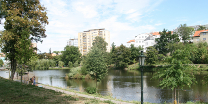 Město chystá další besedu, tentokrát o zelené páteři města