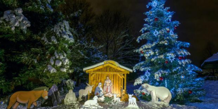 Pražská zoo v neděli rozsvítí vánoční strom a spustí novou adopční kampaň. Vstupné je symbolické