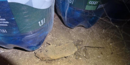 Nález mrtvých myší a jejich trusu uzavřel sklad Coopu v Sedlčanech