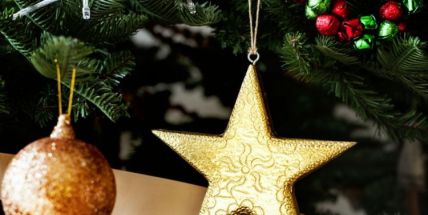 Svoboda: Udělali jsme si s ženou vlastní vánoční dekoraci z větví meruňky