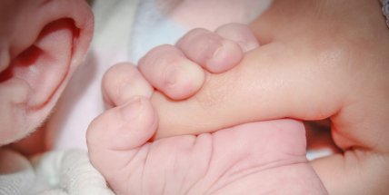 Letošní první Středočech se narodil v Mělníku, dostal jméno Maxmilián