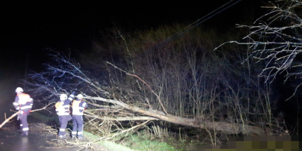 Silný vítr ve Středočeském kraji lámal či vyvracel stromy. 6000 domácností bez elektřiny