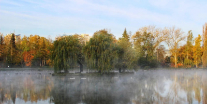 Inverzní počasí přinese o víkendu mírné oteplení, ale i mlhy a oblačnost
