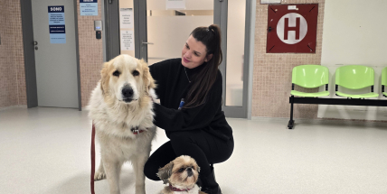 Koordinátorka nemocničních dobrovolníků: Pozitivní energie, kterou dáte pacientům, se vám násobně vrátí