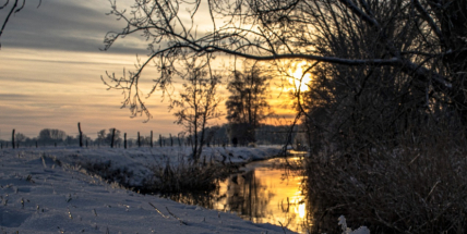 Na víkend se do Česka vrátí zima, místy bude sněžit, v noci hrozí náledí