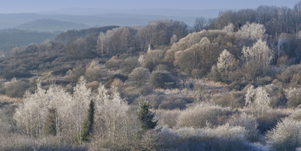 Únor střídá extrémy: Po mrazivých ránech mohou přijít teplejší dny