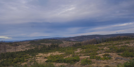 Jaro v lednu, mráz v únoru: Teploty klesnou i nadále až k minus devíti stupňům