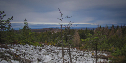 Kraj napumpuje přes deset milionů na podporu destinačních managementů