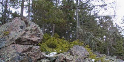 Jak Marásek ke svému jménu přišel