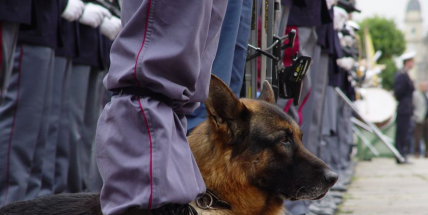 Za pět minut dvanáct. Policisté našli včas nemocného muže