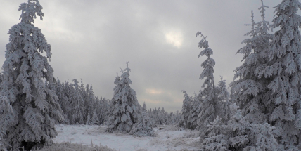 O víkendu udeří mrazy, teploty spadnou až k mínus třinácti stupňům