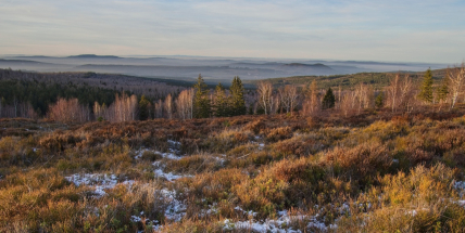 Rána budou stále mrazivá, ale odpoledne vystoupají teploty i přes patnáct stupňů