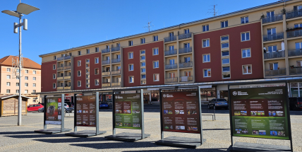 Sportovec Příbramska 2024: Kategorie Odchovanec / Krajánek