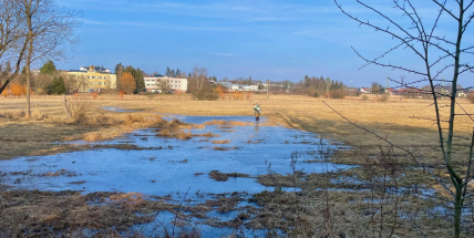 Osud Fantovy louky zůstává stále nejasný - navzdory odborným posudkům a rozhodnutí zastupitelstva