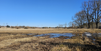 Fantova louka a její ochrana: Nečekaný obrat v rozhodnutí dobříšského úřadu