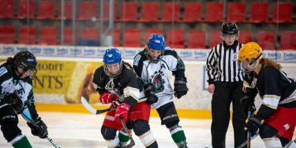 Sportovec Příbramska 2024: Kategorie Kolektiv dospělí