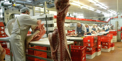 Masokombinát v Příbrami přijímá nové zaměstnance