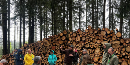 Evropští lesníci a ochránci přírody se přijeli inspirovat do Brd – zajímal je projekt adaptace lesů na změnu klimatu