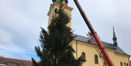 Foto dne: Vánoční stromek už je na náměstí, rozsvítí se za týden