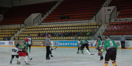 Hokejisté pokořili český rekord a vybrali 3 tisíce pro dětský domov