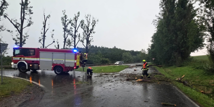 Bouřky opět zaměstnaly hasiče. Na Příbramsku padaly stromy